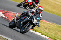 Lower Group Black Bikes